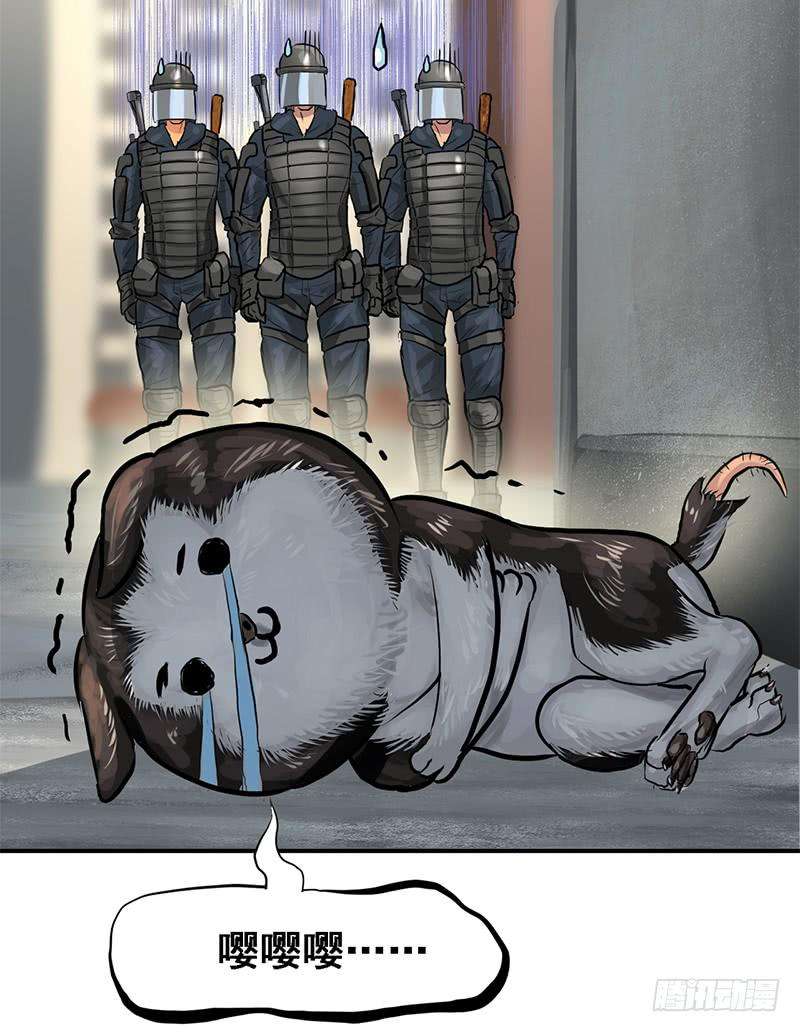 28.jpg