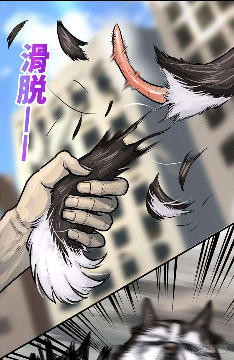 20.jpg
