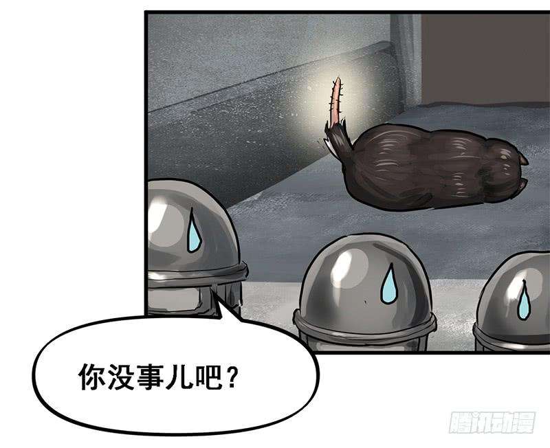 29.jpg