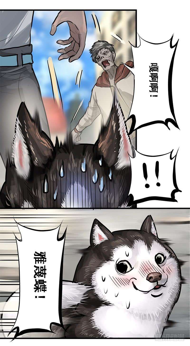 13.jpg