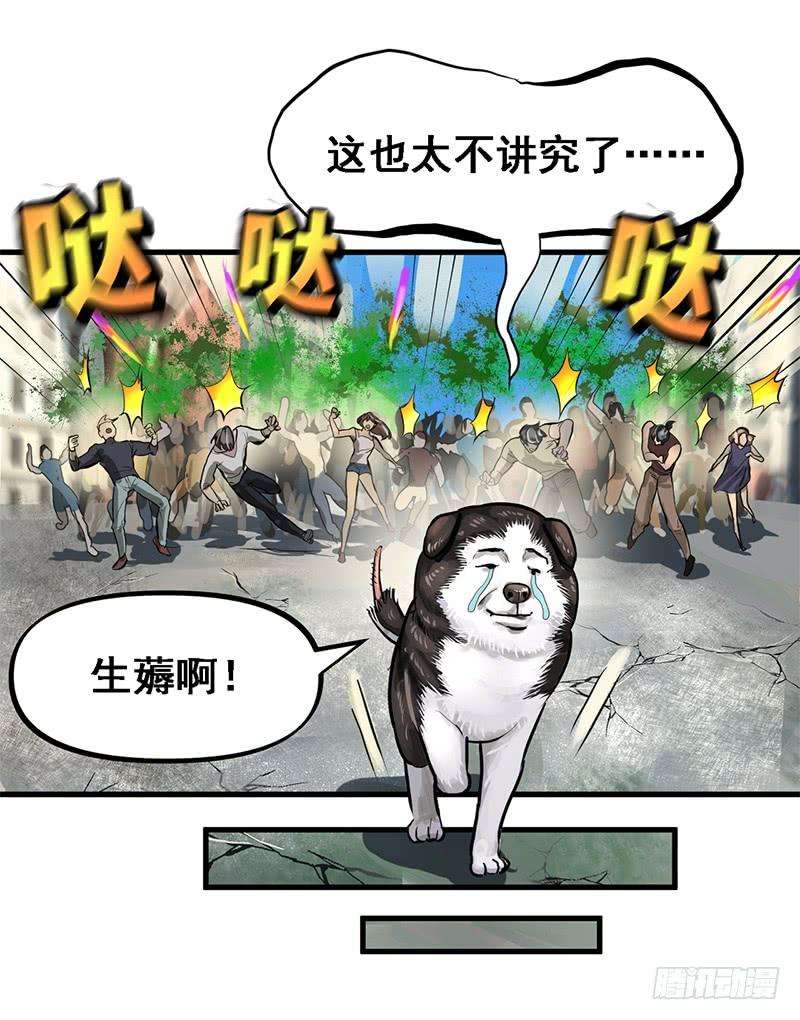 23.jpg