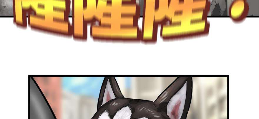 78.jpg