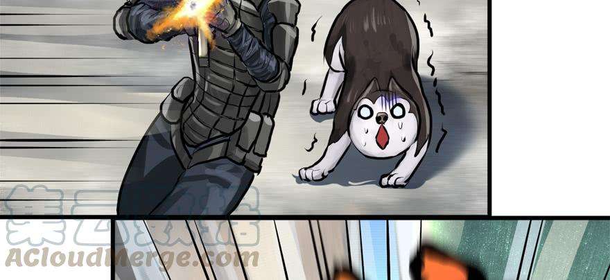 41.jpg