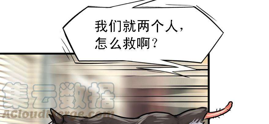 91.jpg