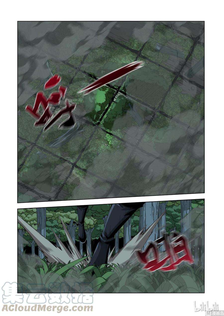 5.jpg