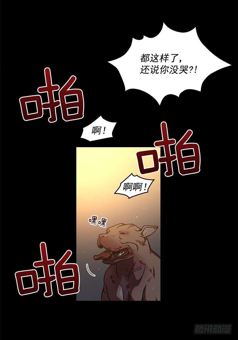 16.jpg