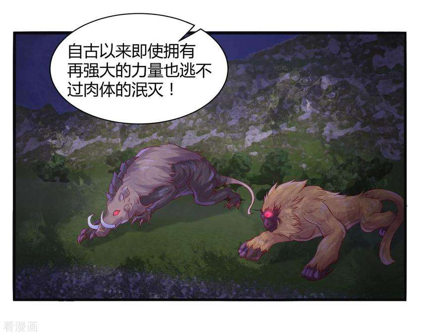 26.jpg