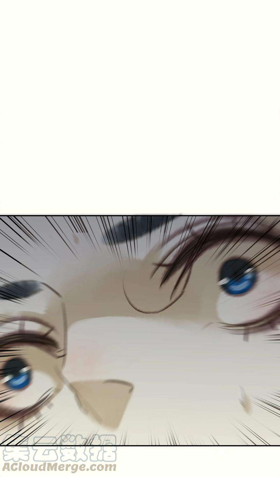 45.jpg