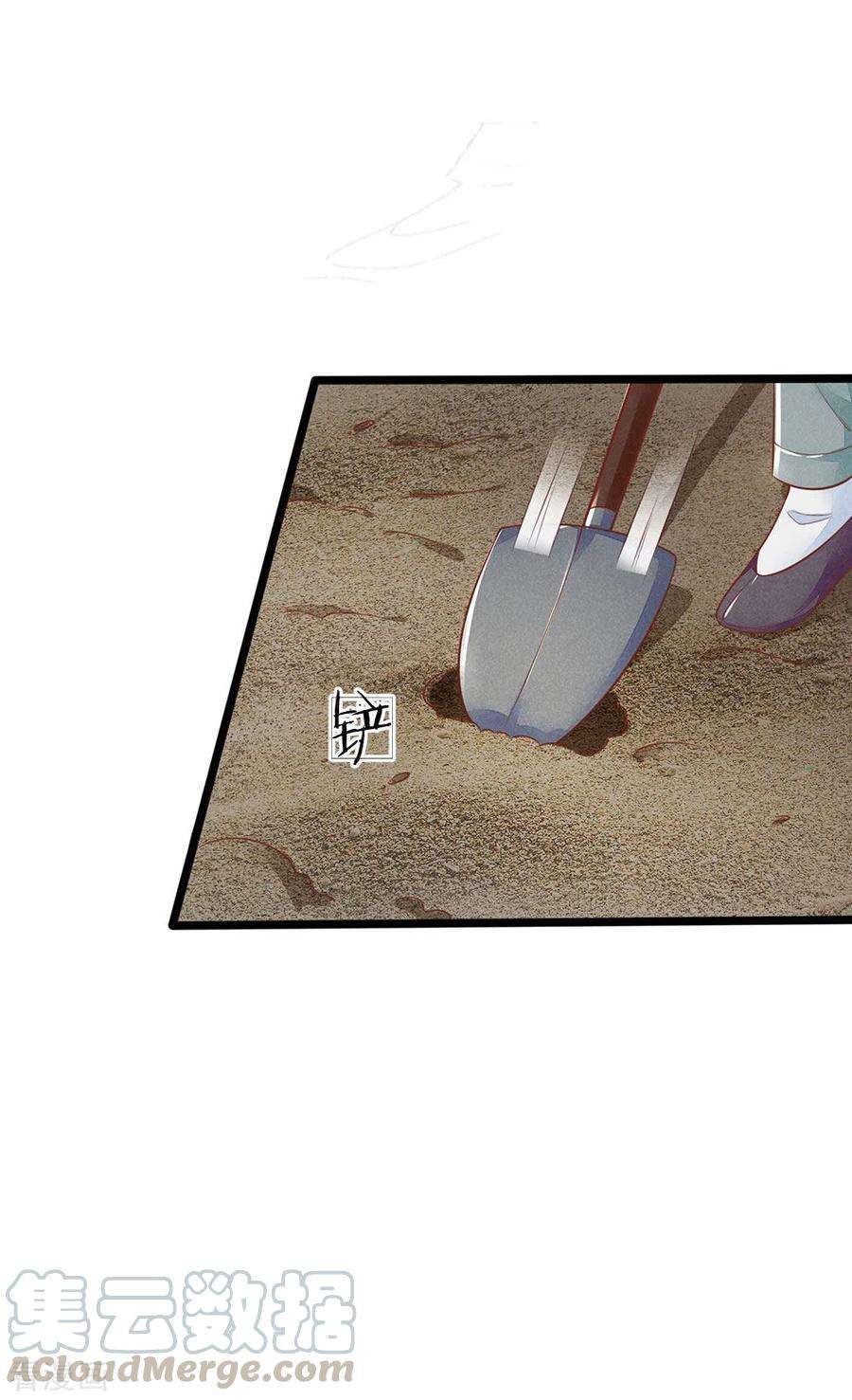 25.jpg