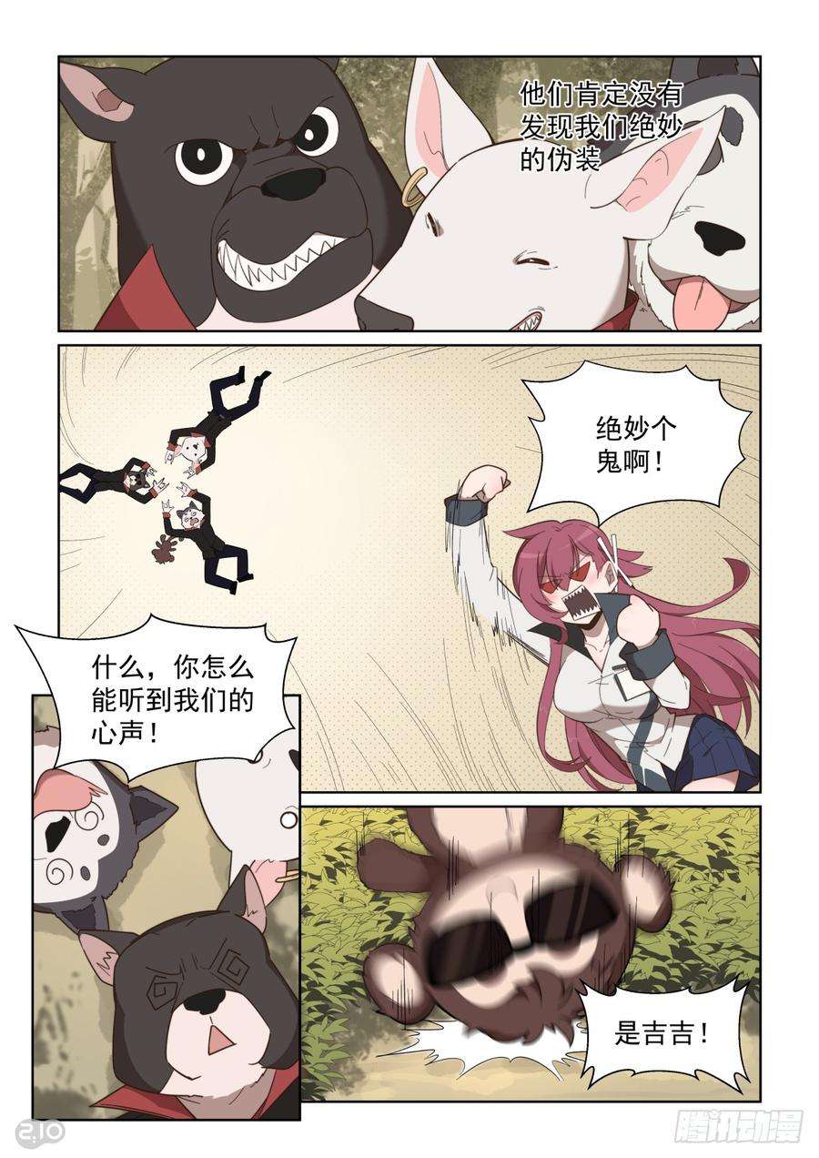 6.jpg