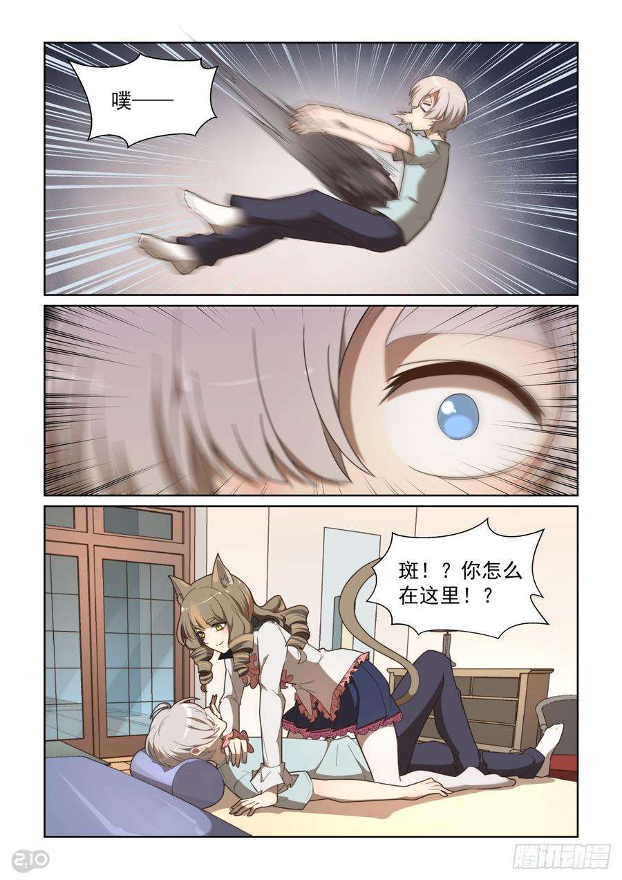 7.jpg
