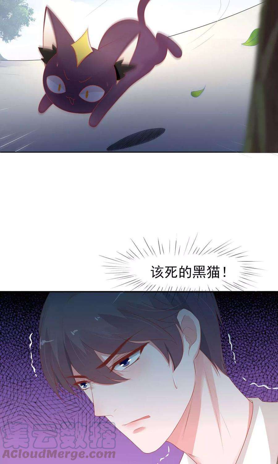 51.jpg