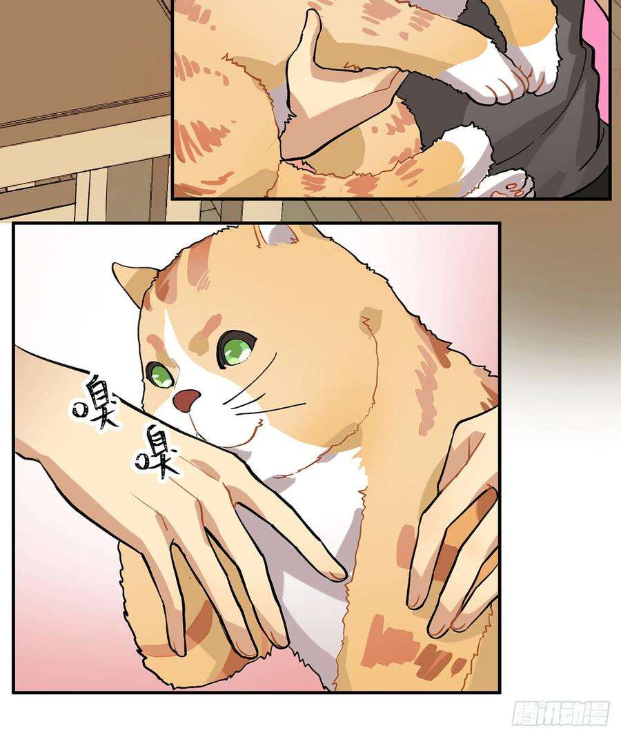 163.jpg