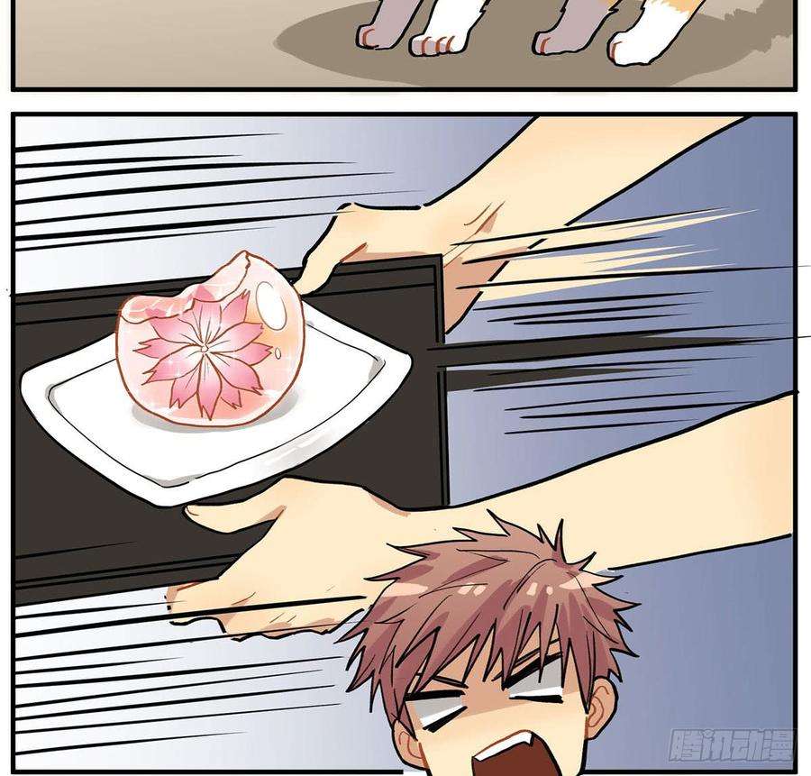 43.jpg