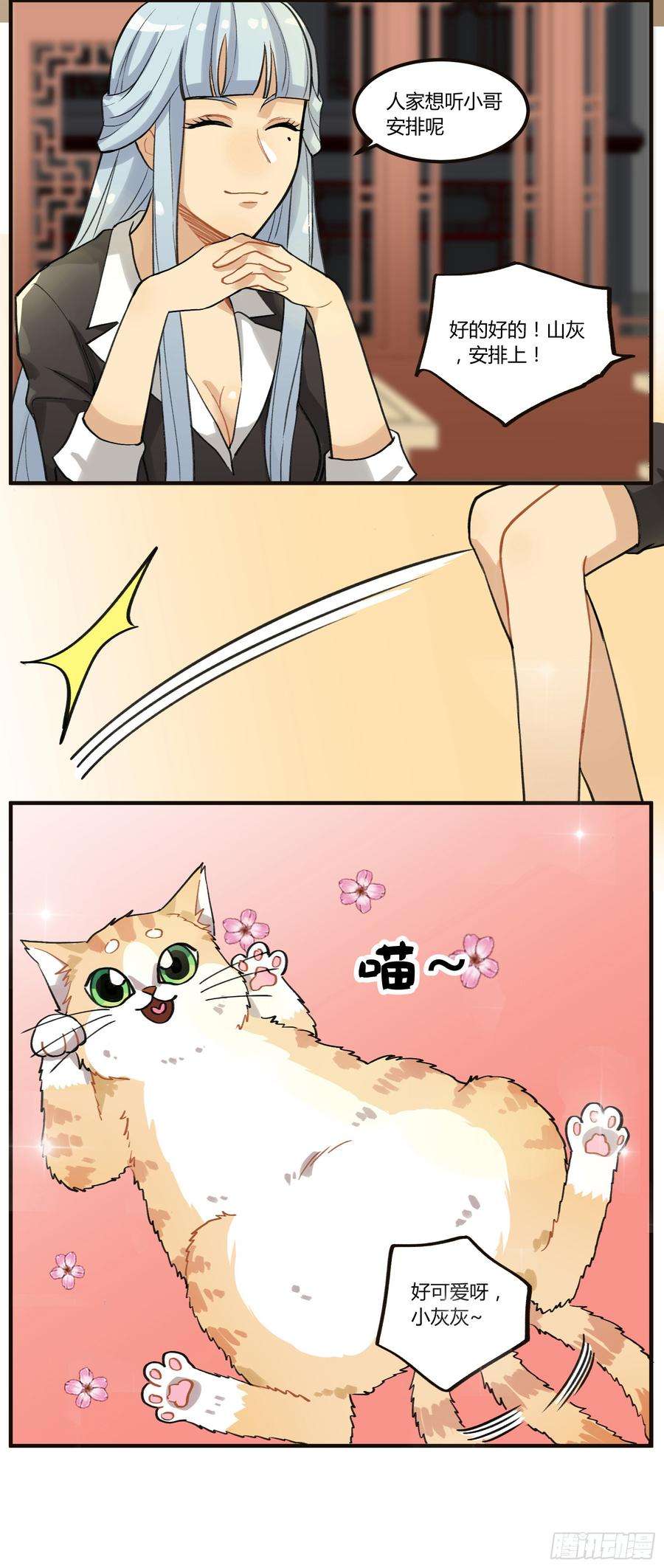 15.jpg