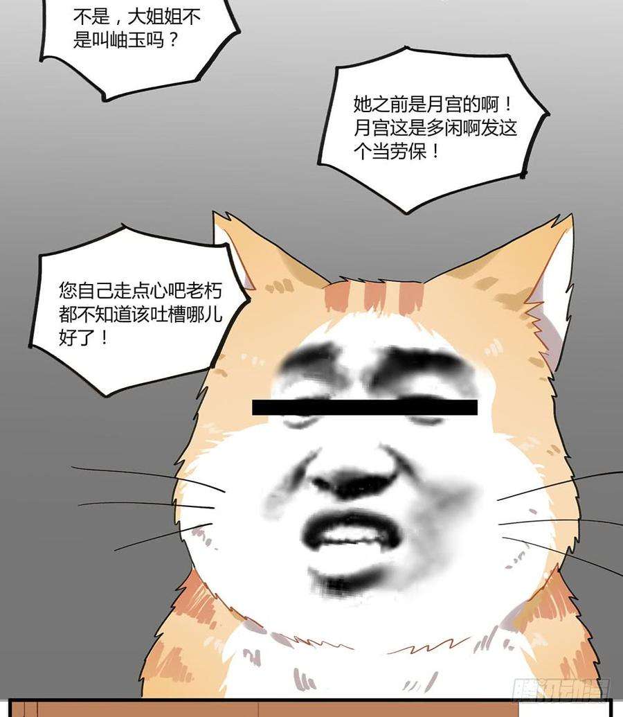 26.jpg