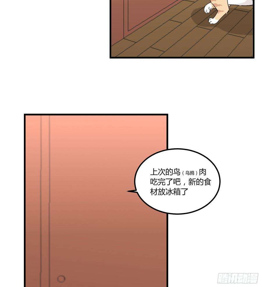 29.jpg