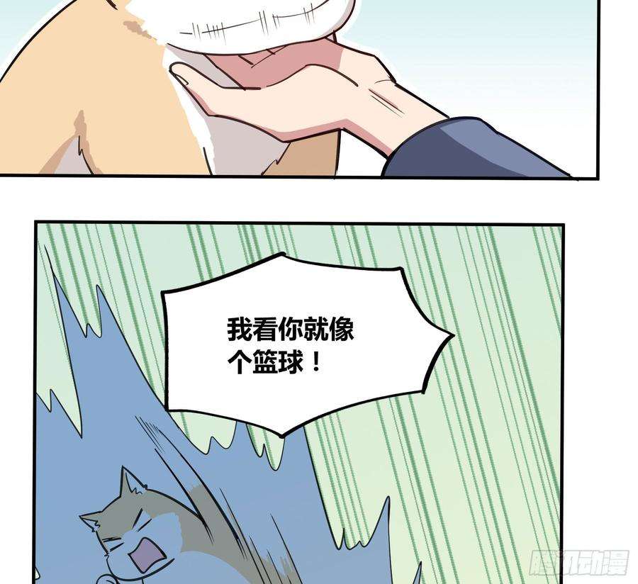 18.jpg
