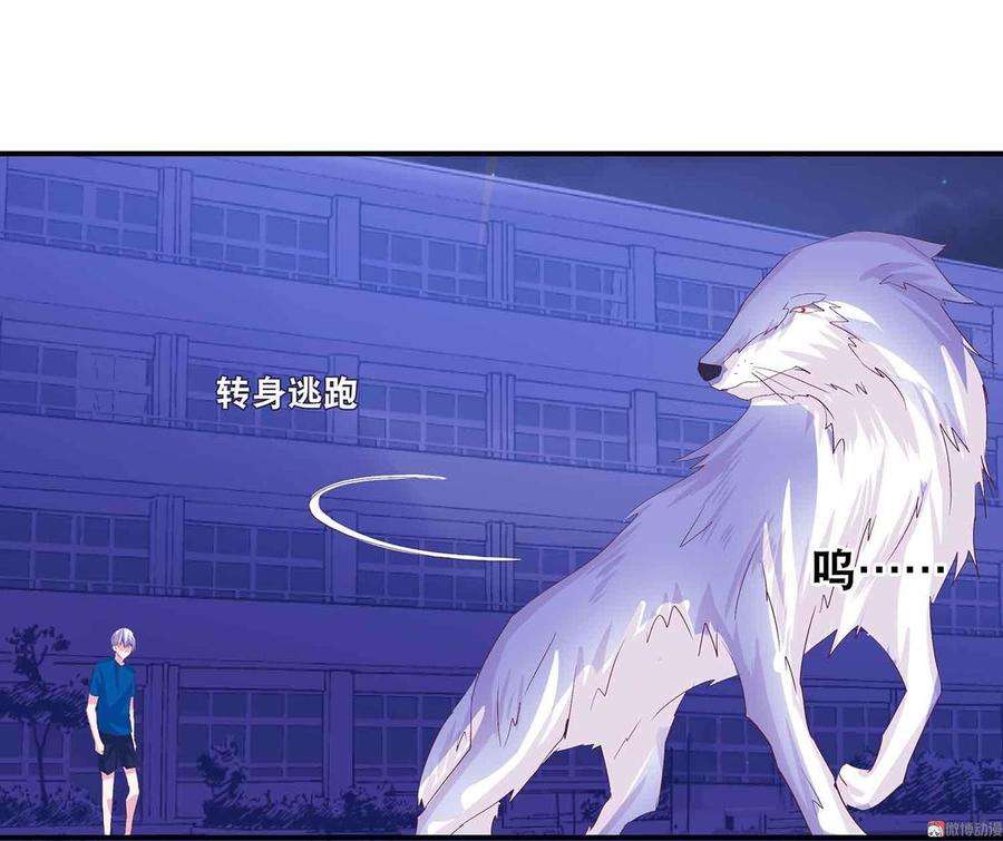 20.jpg