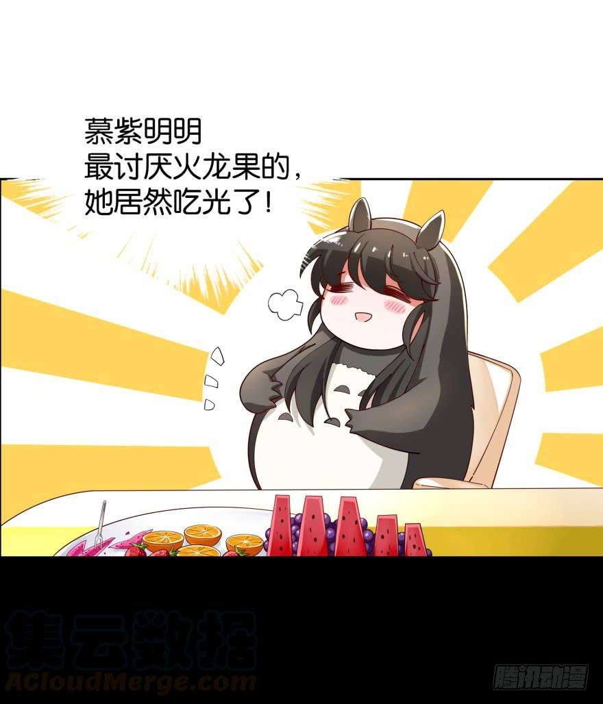 41.jpg