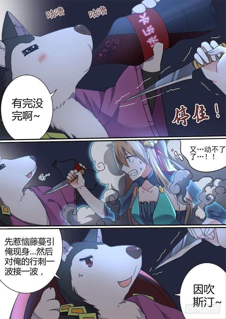 9.jpg