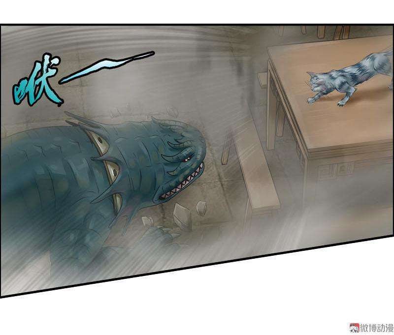20.jpg