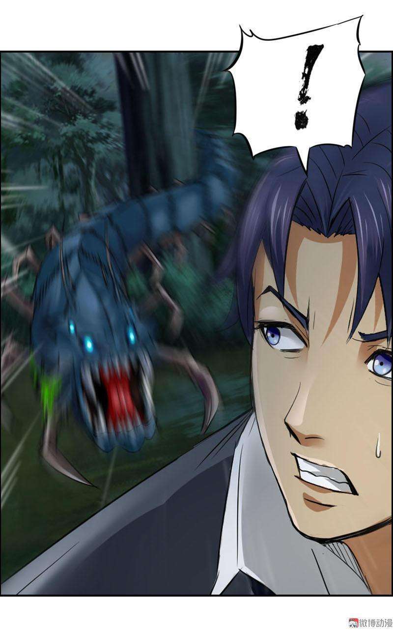 13.jpg