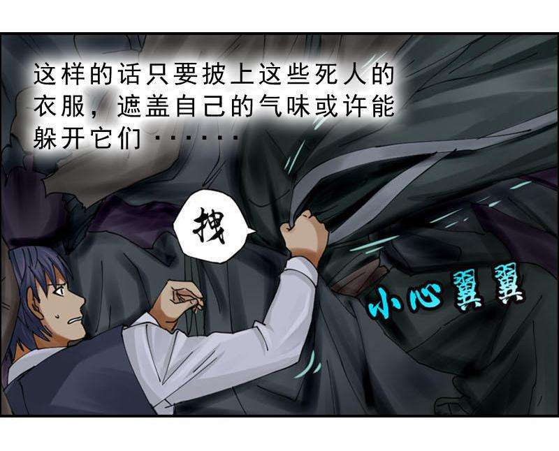 17.jpg
