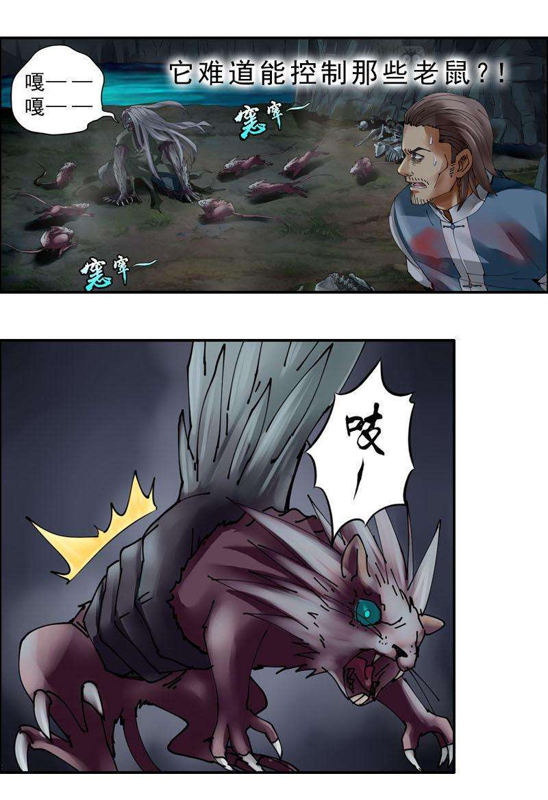 13.jpg