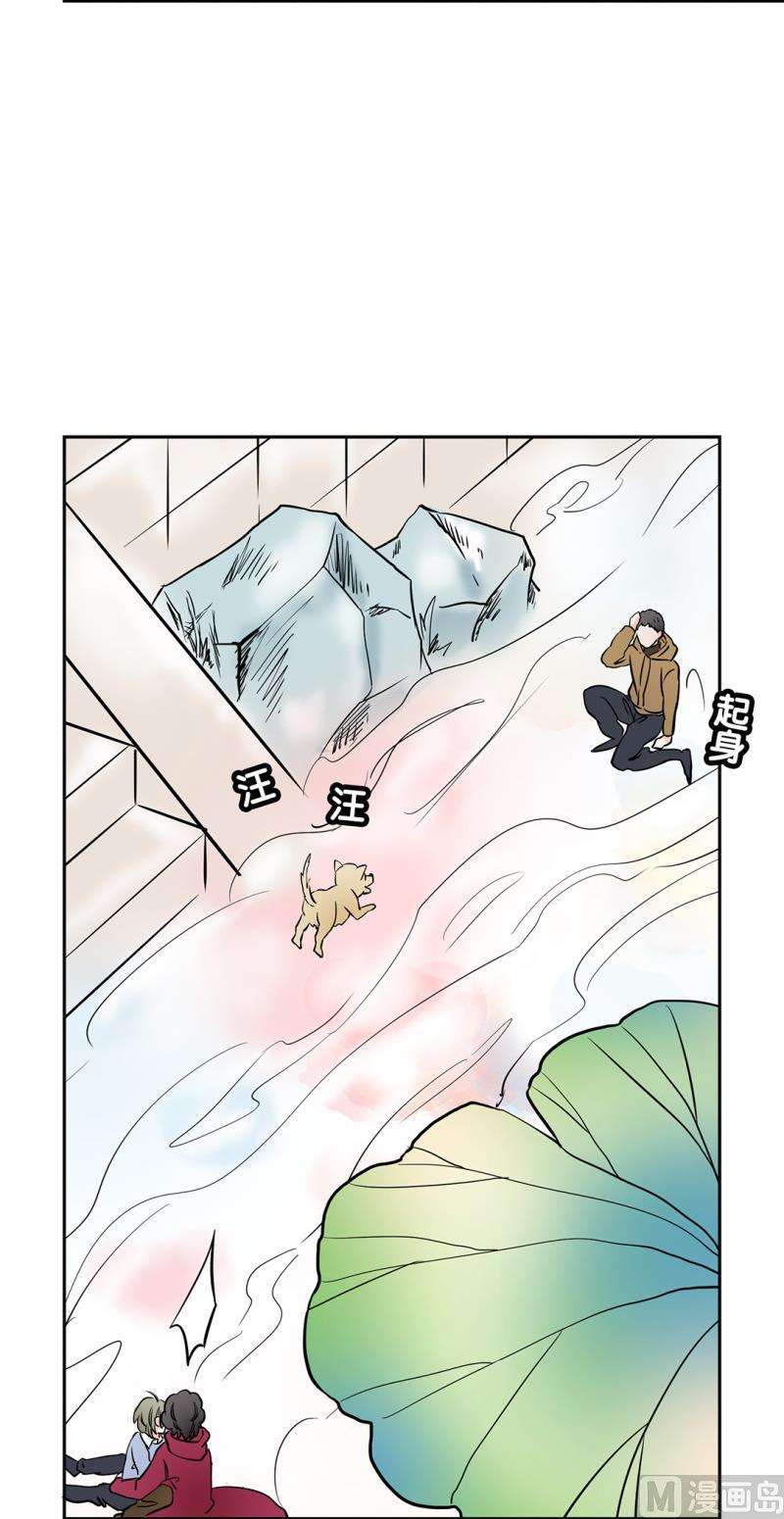 26.jpg