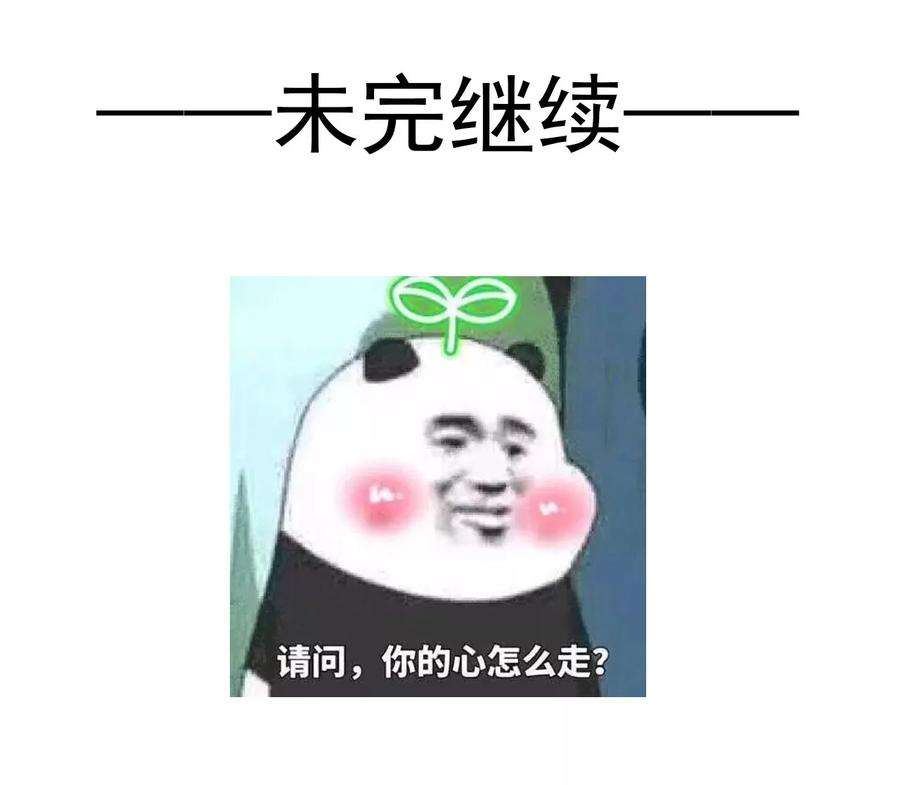 49.jpg