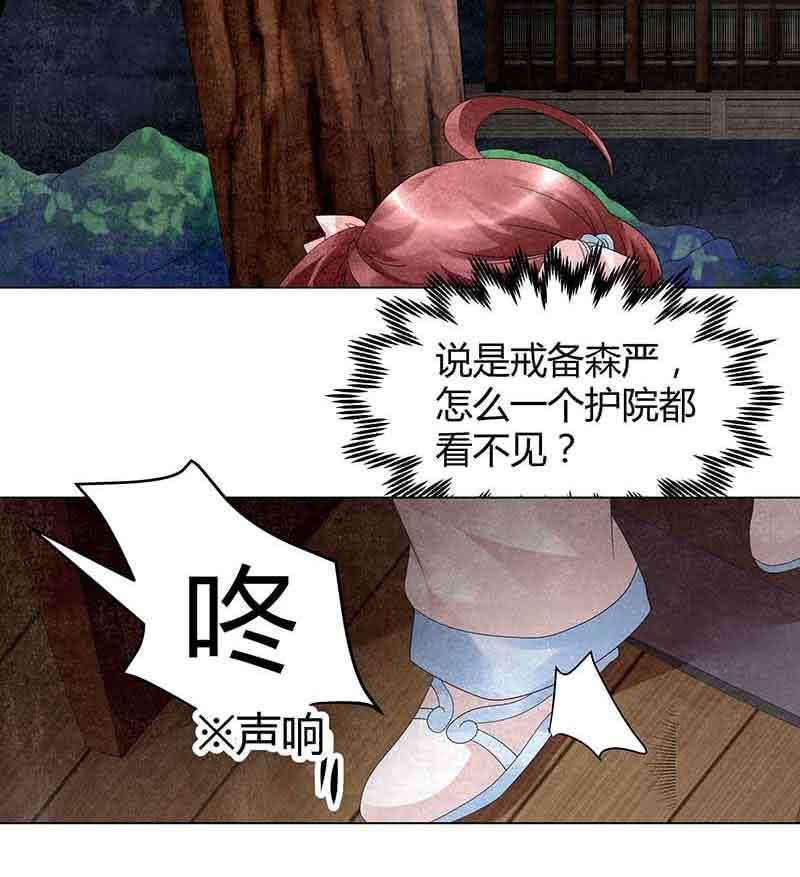 11.jpg