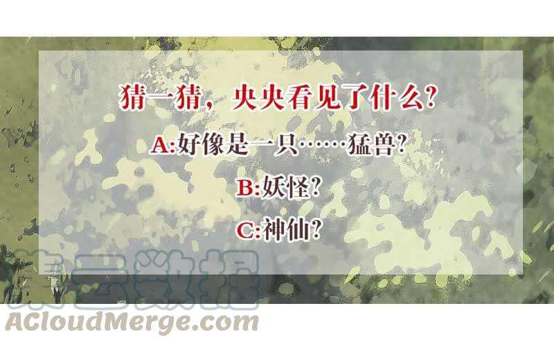 53.jpg