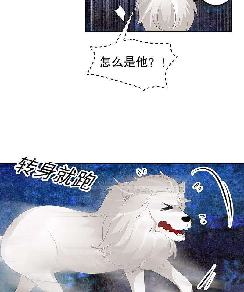 52.jpg