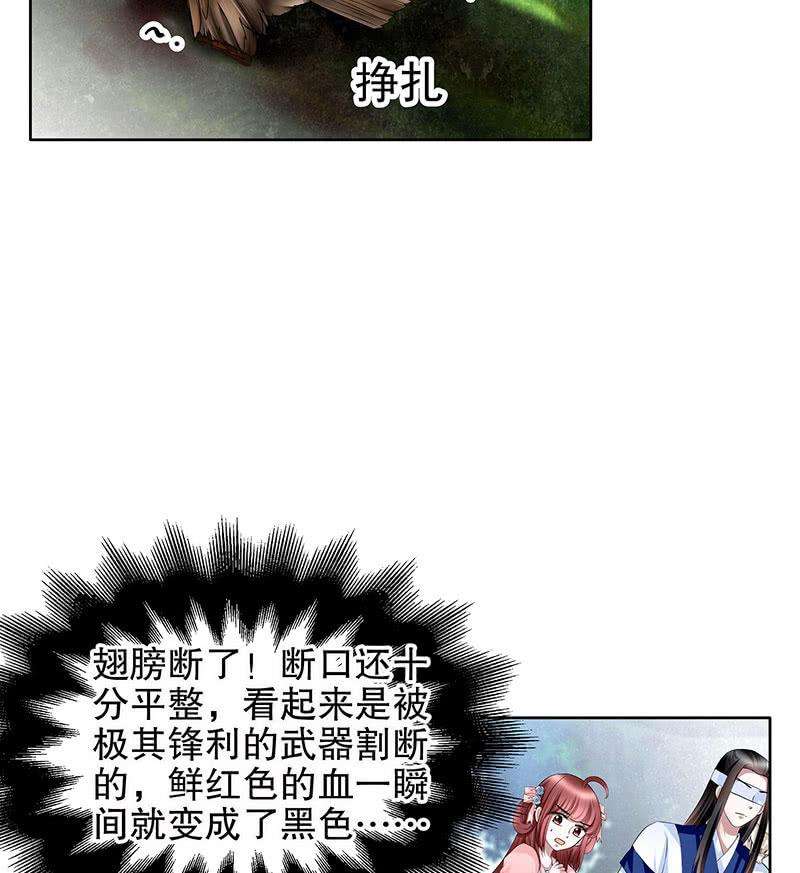 55.jpg