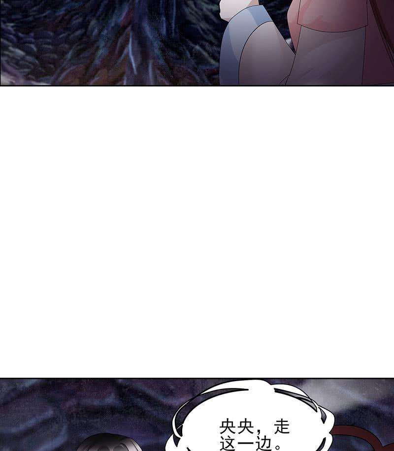 51.jpg
