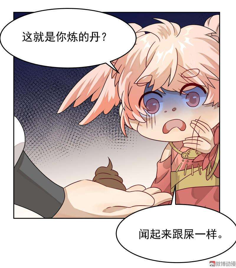 19.jpg