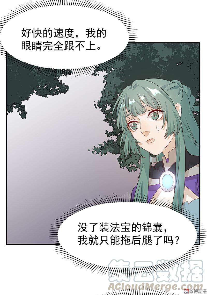 31.jpg