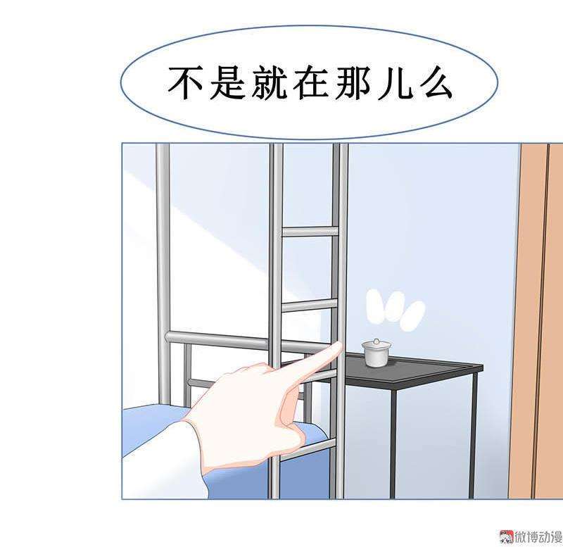 17.jpg