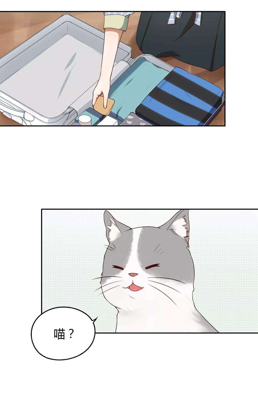 20.jpg