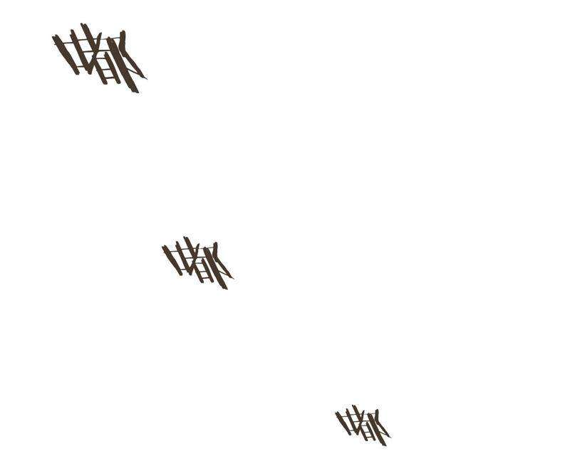 37.jpg