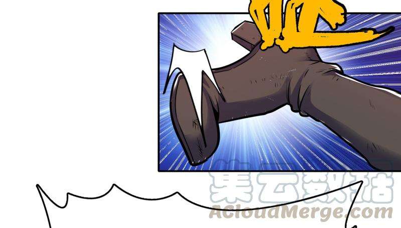 41.jpg