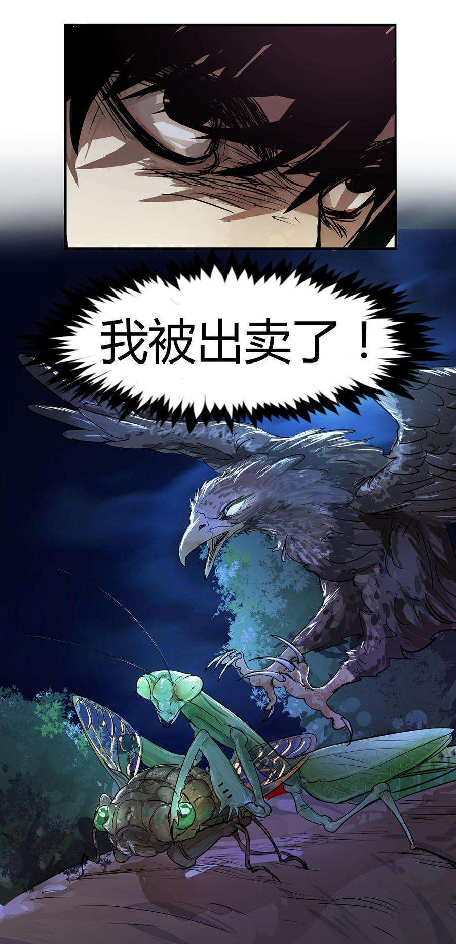11.jpg