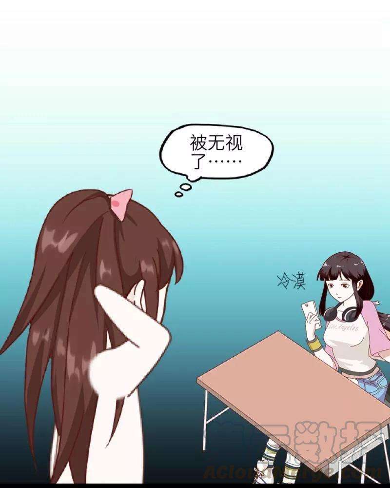 41.jpg