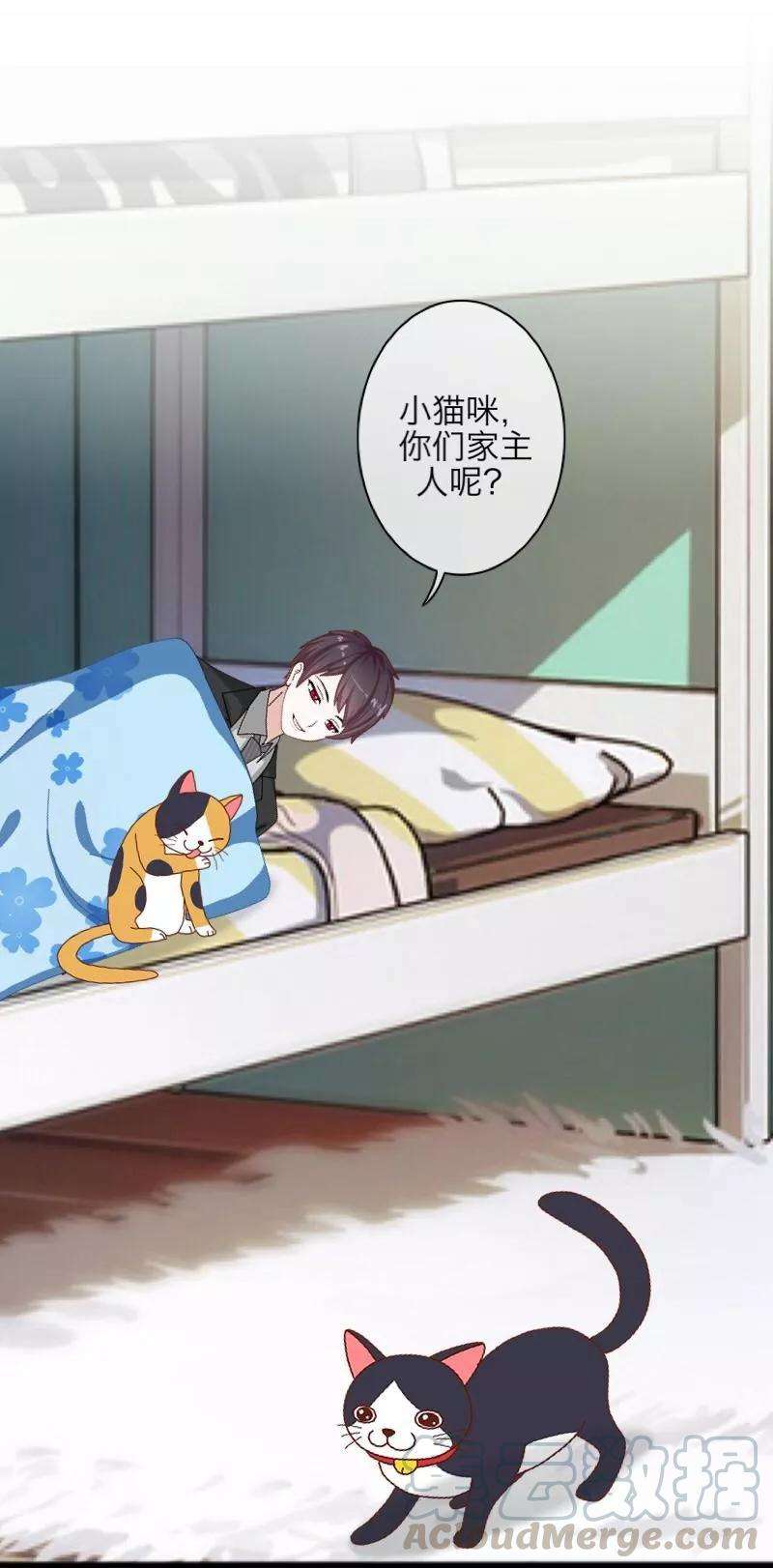 37.jpg