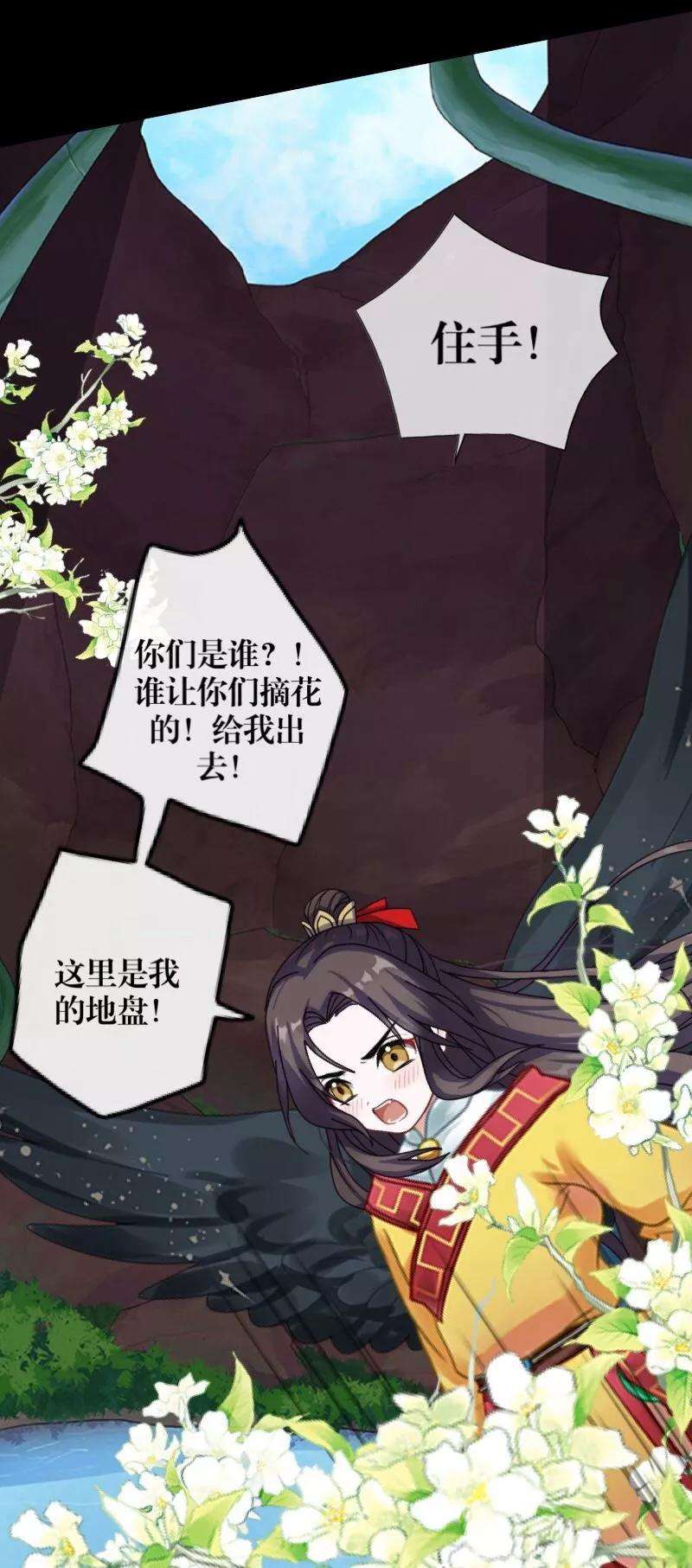 11.jpg