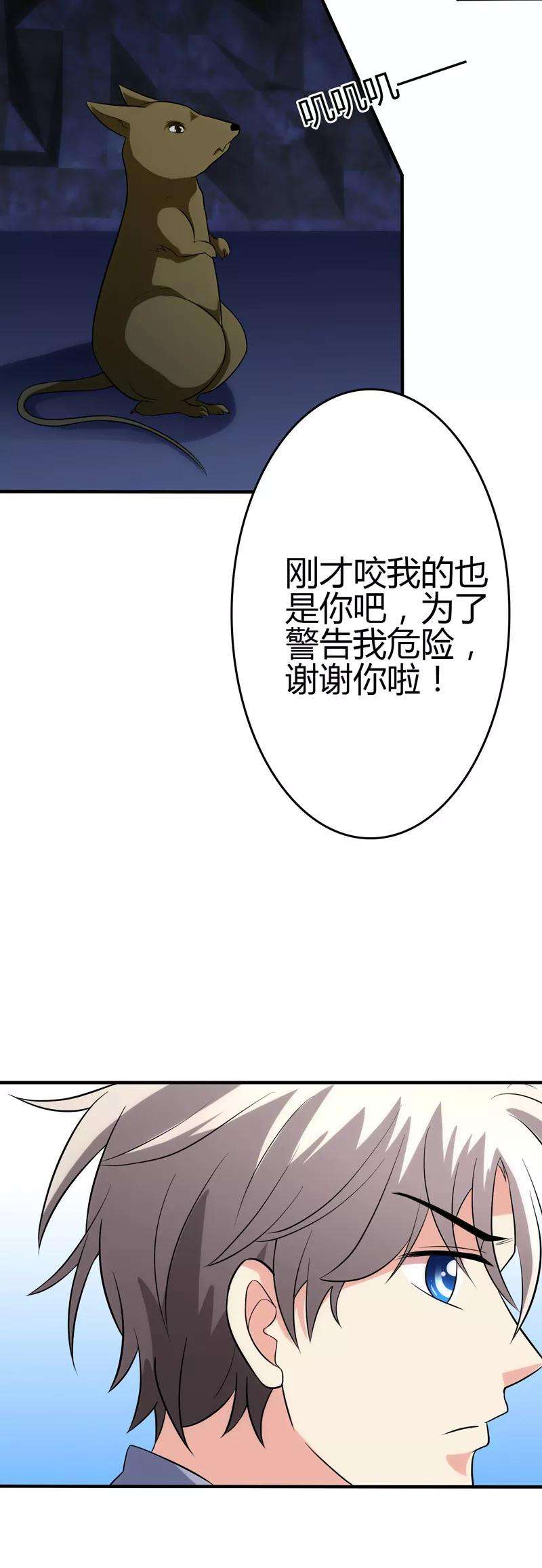 16.jpg