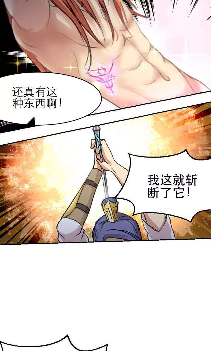 13.jpg