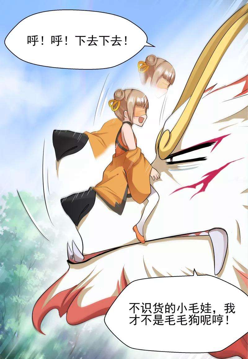12.jpg