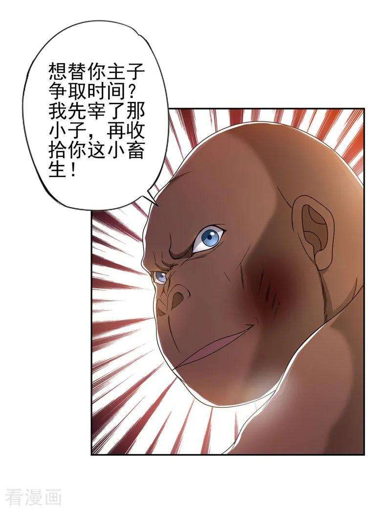 19.jpg